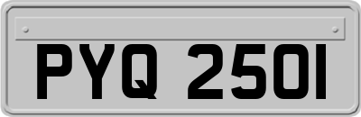 PYQ2501