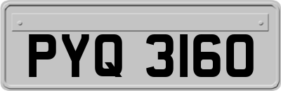 PYQ3160