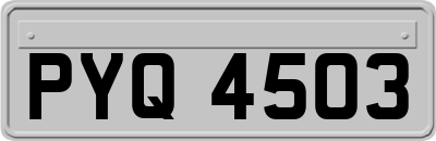 PYQ4503