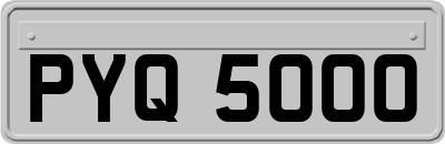 PYQ5000