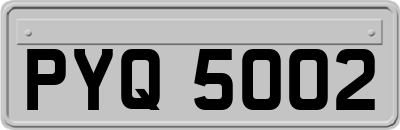 PYQ5002