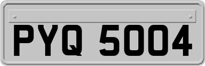 PYQ5004