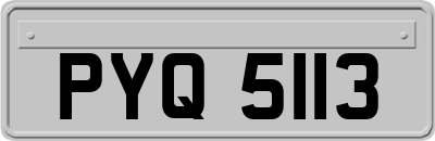 PYQ5113