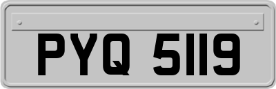 PYQ5119