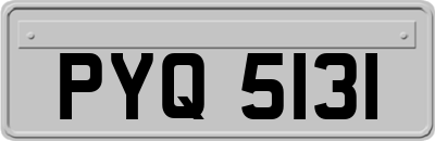 PYQ5131