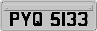 PYQ5133