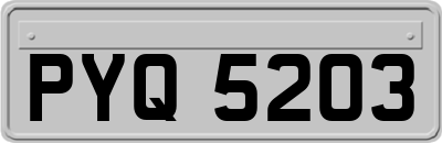 PYQ5203