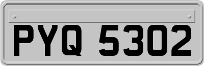 PYQ5302