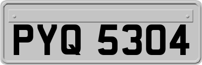 PYQ5304