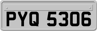 PYQ5306