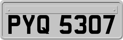 PYQ5307