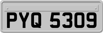 PYQ5309