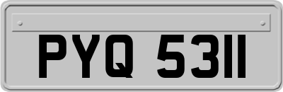 PYQ5311