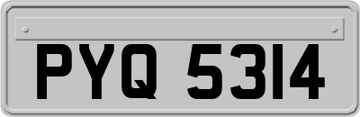 PYQ5314