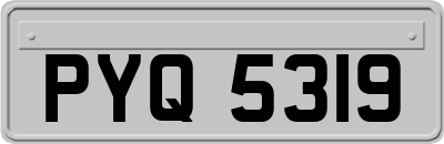 PYQ5319