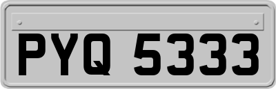 PYQ5333