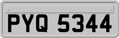 PYQ5344