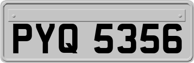 PYQ5356