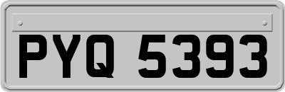 PYQ5393