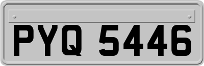 PYQ5446