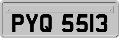 PYQ5513