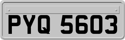 PYQ5603