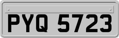 PYQ5723