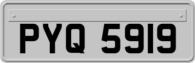 PYQ5919