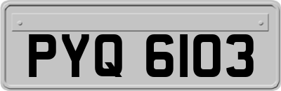 PYQ6103