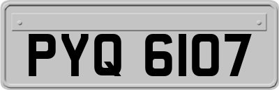 PYQ6107