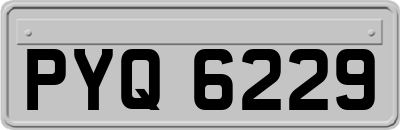 PYQ6229