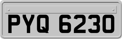 PYQ6230