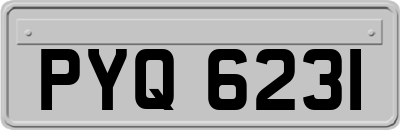 PYQ6231