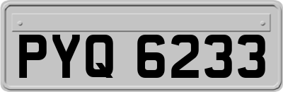 PYQ6233