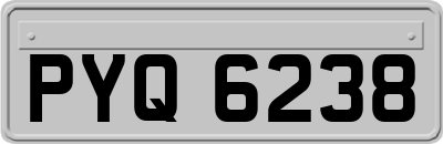 PYQ6238