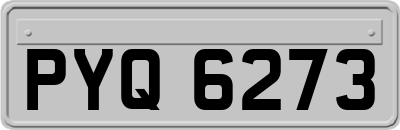 PYQ6273