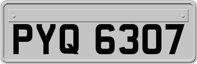 PYQ6307