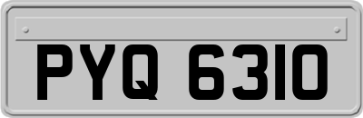 PYQ6310