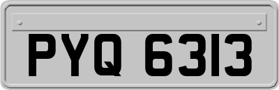 PYQ6313