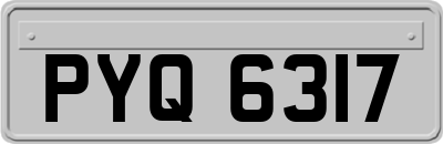 PYQ6317