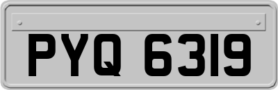 PYQ6319