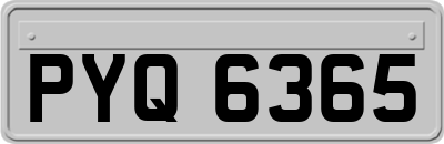 PYQ6365