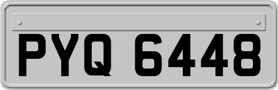 PYQ6448