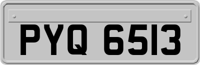 PYQ6513