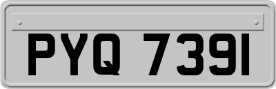 PYQ7391