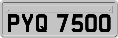 PYQ7500