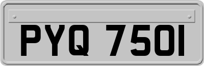 PYQ7501