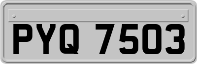 PYQ7503