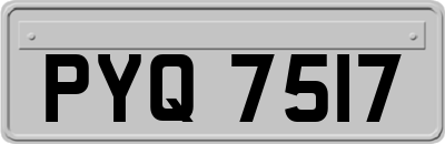 PYQ7517