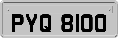 PYQ8100